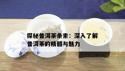 探秘普洱茶条索：深入了解普洱茶的精髓与魅力