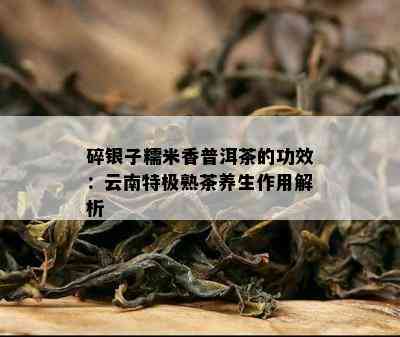 碎银子糯米香普洱茶的功效：云南特极熟茶养生作用解析