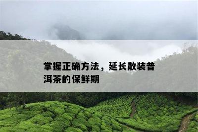 掌握正确方法，延长散装普洱茶的保鲜期