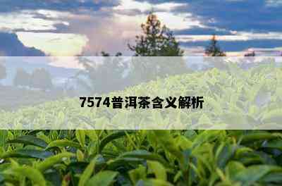 7574普洱茶含义解析