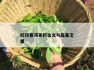 红印普洱茶的含义与品鉴之道