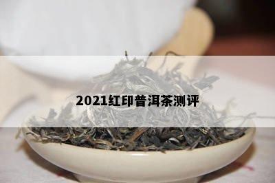 2021红印普洱茶测评