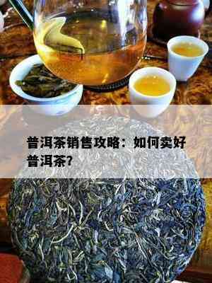 普洱茶销售攻略：如何卖好普洱茶？