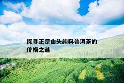 探寻正宗山头纯料普洱茶的价格之谜