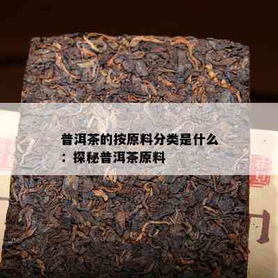 普洱茶的按原料分类是什么：探秘普洱茶原料