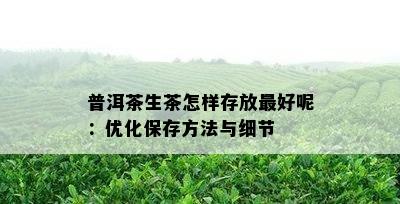 普洱茶生茶怎样存放更好呢：优化保存方法与细节