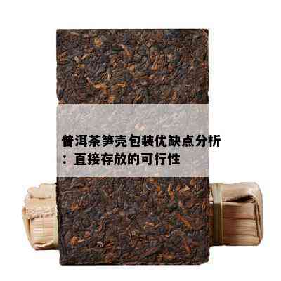 普洱茶笋壳包装优缺点分析：直接存放的可行性