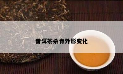 普洱茶杀青外形变化