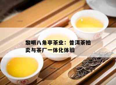 黎明八角亭茶业：普洱茶拍卖与茶厂一体化体验