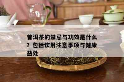 普洱茶的禁忌与功效是什么？包括饮用注意事项与健康益处