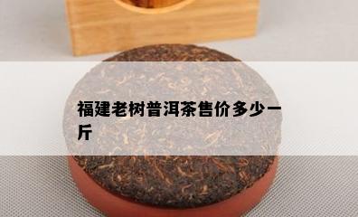 福建老树普洱茶售价多少一斤