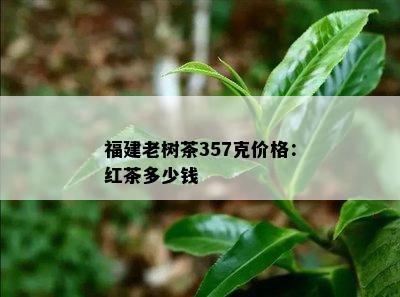 福建老树茶357克价格：红茶多少钱