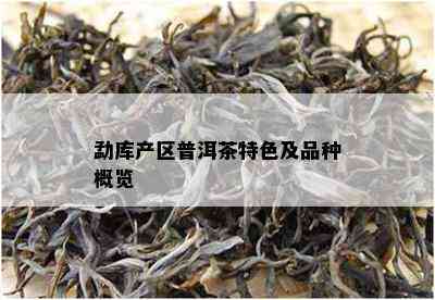 勐库产区普洱茶特色及品种概览