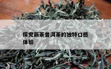 探究新茶普洱茶的独特口感体验