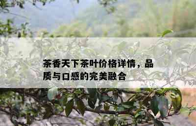 茶香天下茶叶价格详情，品质与口感的完美融合