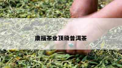 康福茶业顶级普洱茶