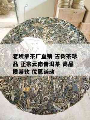 老班章茶厂直销 古树茶珍品 正宗云南普洱茶 高品质茶饮 优惠活动