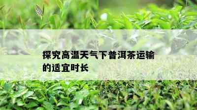 探究高温天气下普洱茶运输的适宜时长