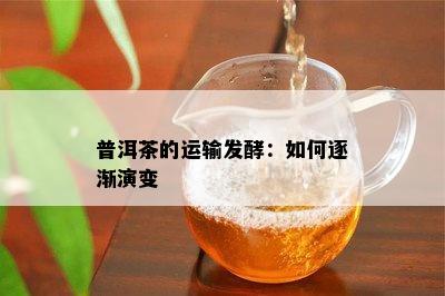 普洱茶的运输发酵：如何逐渐演变