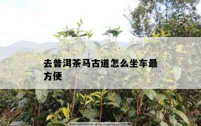 去普洱茶马古道怎么坐车最方便