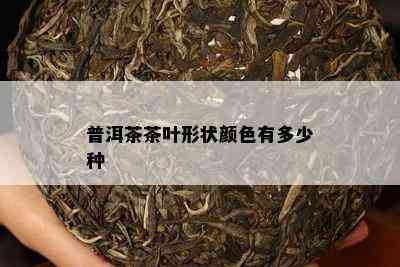 普洱茶茶叶形状颜色有多少种