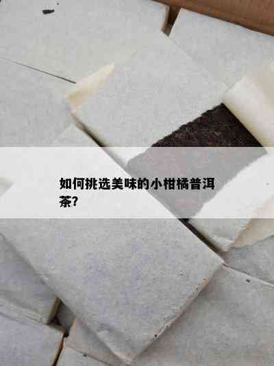 如何挑选美味的小柑橘普洱茶？