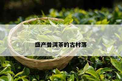 盛产普洱茶的古村落