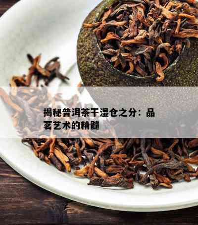 揭秘普洱茶干湿仓之分：品茗艺术的精髓