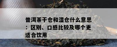 普洱茶干仓和湿仓什么意思：区别、口感比较及哪个更适合饮用