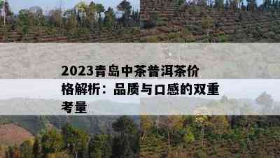 2023青岛中茶普洱茶价格解析：品质与口感的双重考量