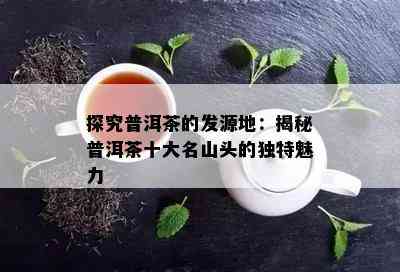 探究普洱茶的发源地：揭秘普洱茶十大名山头的独特魅力