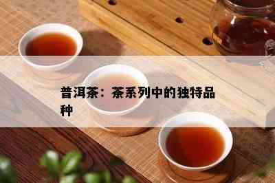 普洱茶：茶系列中的独特品种