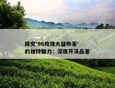 探究'96玫瑰大益熟茶'的独特魅力：深度开汤品鉴