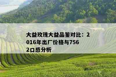 大益玫瑰大益品鉴对比：2016年出厂价格与7562口感分析