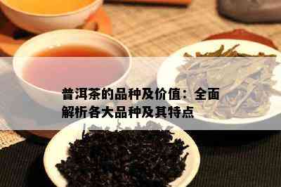 普洱茶的品种及价值：全面解析各大品种及其特点