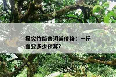 探究竹筒普洱茶价格：一斤需要多少预算？