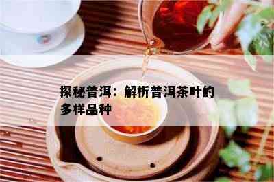 探秘普洱：解析普洱茶叶的多样品种