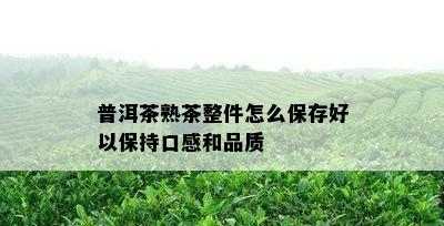 普洱茶熟茶整件怎么保存好以保持口感和品质