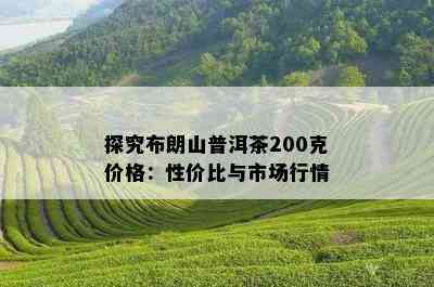 探究布朗山普洱茶200克价格：性价比与市场行情