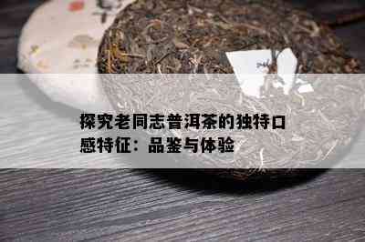 探究老同志普洱茶的独特口感特征：品鉴与体验