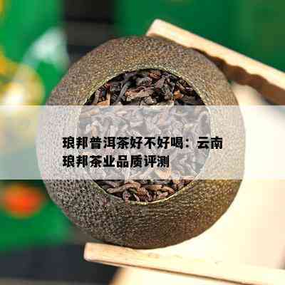 琅邦普洱茶好不好喝：云南琅邦茶业品质评测