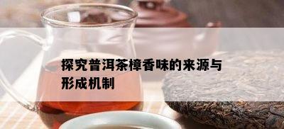 探究普洱茶樟香味的来源与形成机制