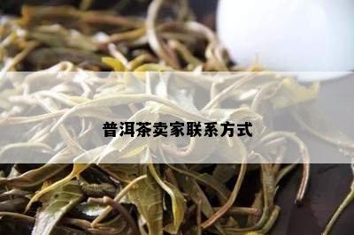 普洱茶卖家联系方式