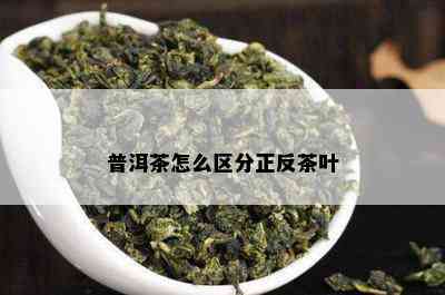 普洱茶怎么区分正反茶叶