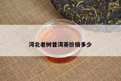 河北老树普洱茶价格多少