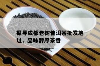 探寻成都老树普洱茶批发地址，品味醇厚茶香