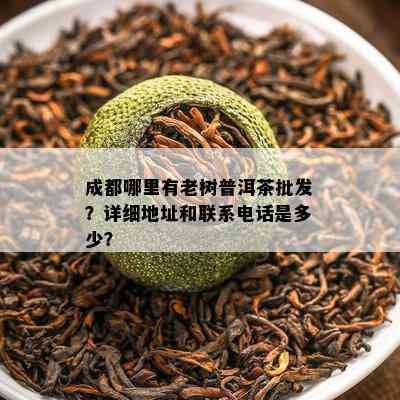 成都哪里有老树普洱茶批发？详细地址和联系电话是多少？