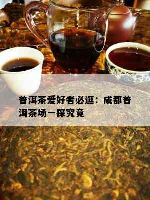 普洱茶爱好者必逛：成都普洱茶场一探究竟