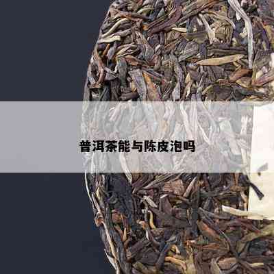 普洱茶能与陈皮泡吗