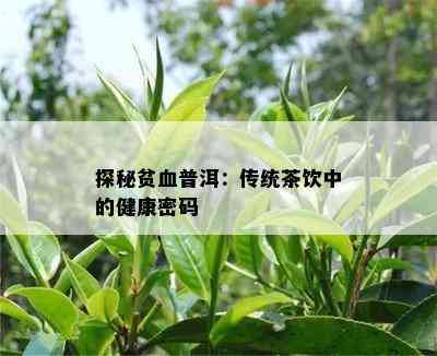 探秘贫血普洱：传统茶饮中的健康密码